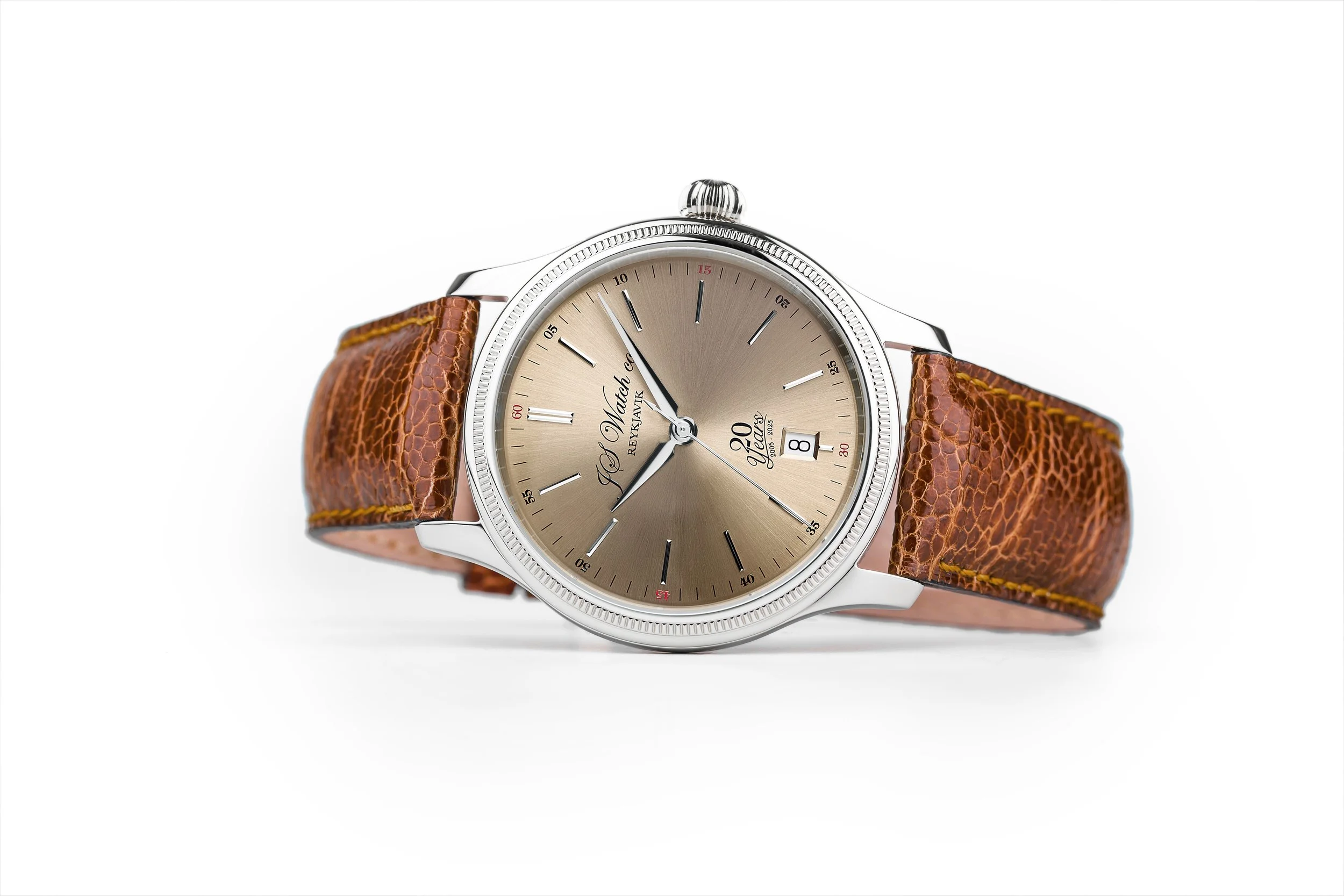 新品未使用　is this High Time? JS Watch Company Reykjavik — 101 20 Year Limited Edition